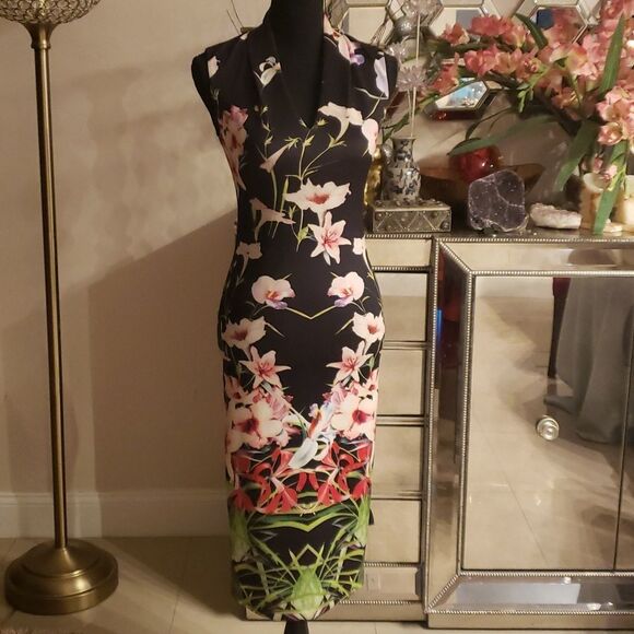 Ted Baker London Dresses & Skirts - TED Baker London Gorgeous Dress Size 1 (XS-S) NWOT